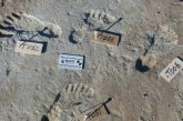 المغرب.. اكتشاف أقدم آثار أقدام بشرية