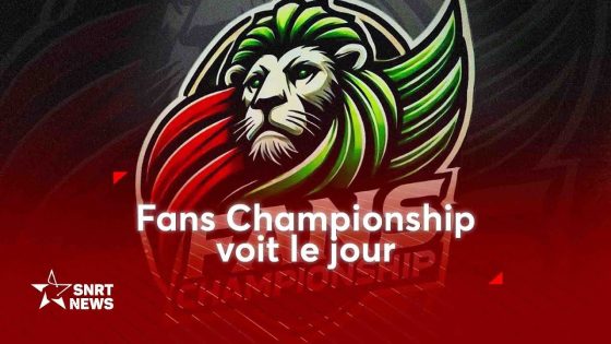 بطولة الجماهير: نحو نصف النهائي… حين يصبح التشجيع لغة وهوية