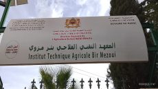 بئر مزوي:المعهد التقني الفلاحي.. صرح وطني لتأهيل الكفاءات في خدمة الفلاحة المغربية