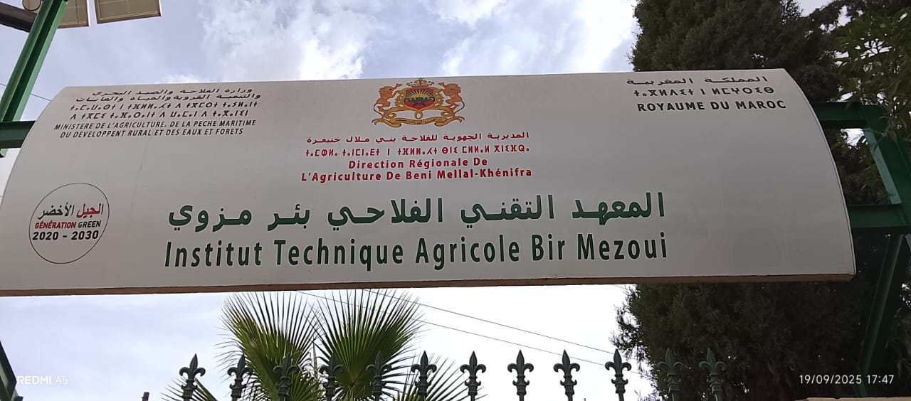 بئر مزوي:المعهد التقني الفلاحي.. صرح وطني لتأهيل الكفاءات في خدمة الفلاحة المغربية