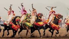 معرض الفرس بالجديدة.. حرف أصيلة تحفظ ذاكرة الفروسية المغربية