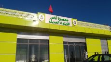 معصرة أناس للزيتون الحديثة.. وحدة إنتاجية نموذجية تعزز سلسلة زيت الزيتون بإقليم خريبكة