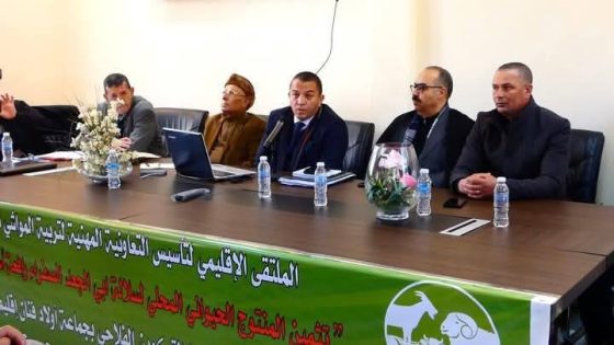 التعاونية المهنية لتربية المواشي سلالة أبي الجعد بإقليم خريبكة تعقد جمعها العام السنوي
