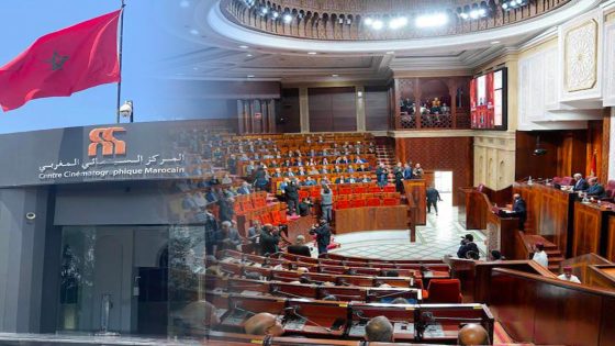 سؤال برلماني يثير جدل إقصاء المهنيين من لجان اختيار المشاريع السينمائية