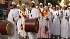 بني ملال تتوشح بألوان التراث في كرنفال فني مبهر احتفاء بعيد العرش المجيد