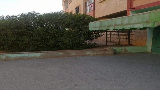 خريبكة:أشجار تحاصر مدخل صيدلية بحي الرياض.. ومطالب بتدخل عاجل لإنهاء معاناة المواطنين