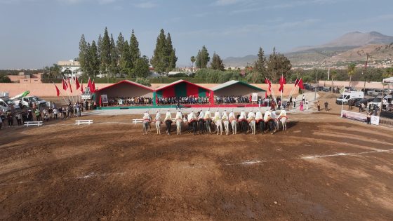 بني ملال:لوحات«التبوريدة» تخطف الأضواء وتشعل سماء الاحتفال بعيد العرش المجيد