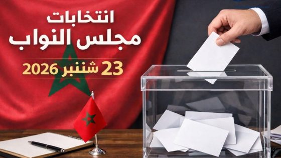 702 لائحة ترشيح مودعة عبر المنصة الإلكترونية لانتخابات شتنبر 2026